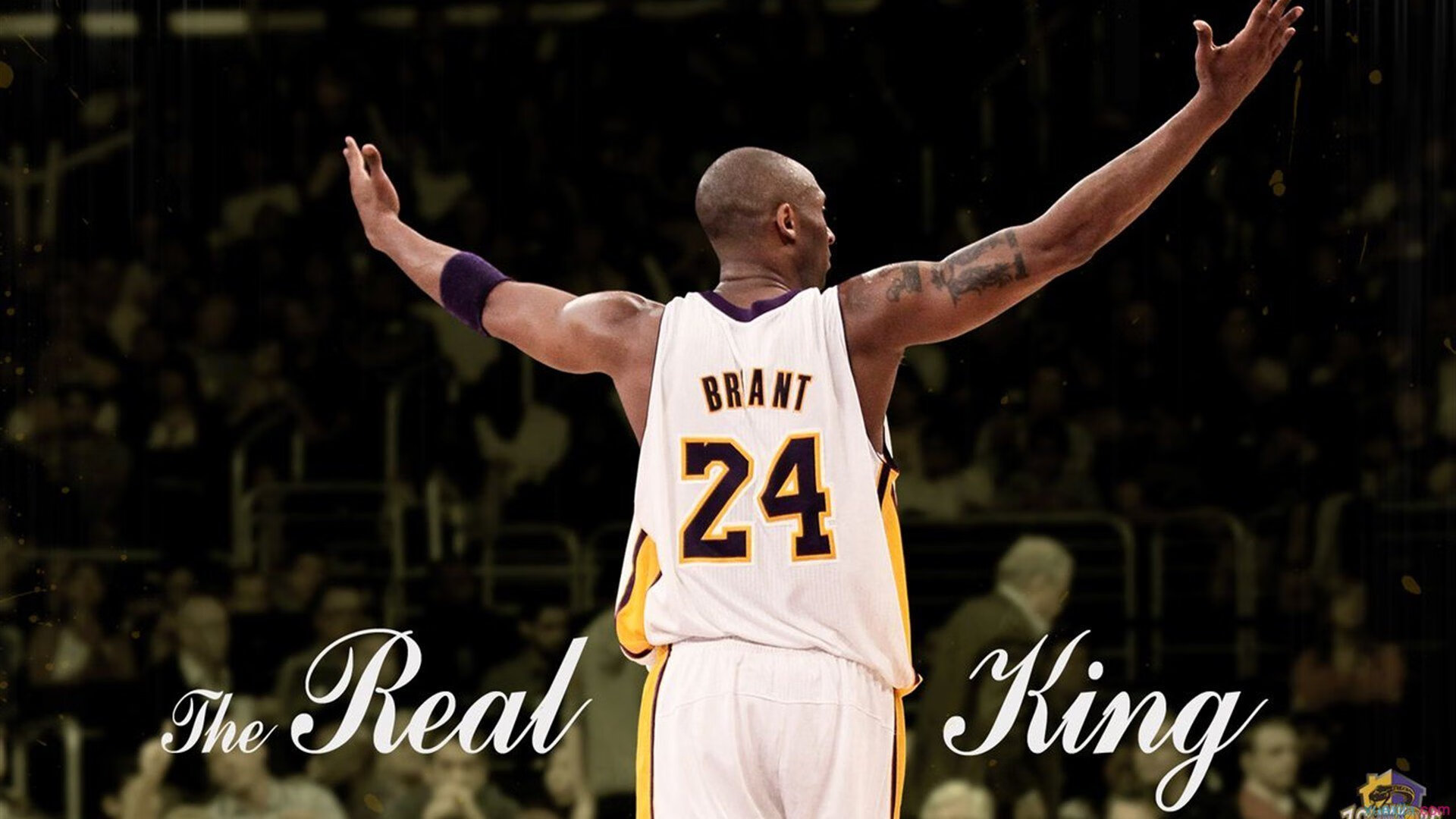 穿越火线 职业联赛持续升温,cf职业联赛赛制